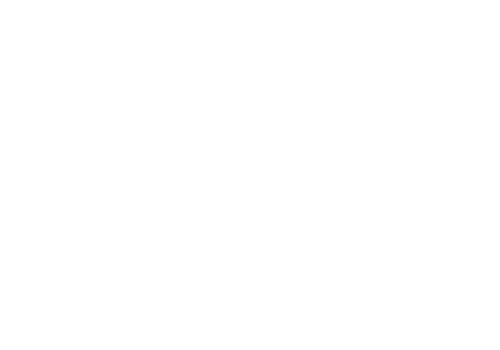 Mr. Clean Summit